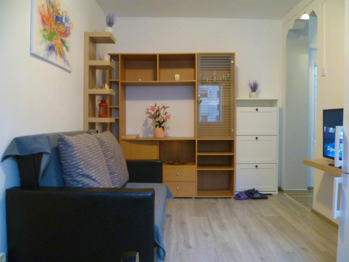 Romanilor - Studio First Floor Deva Exteriör bild